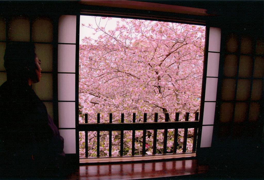 Tabi No Yado Satsuki Hotel Хита Екстериор снимка