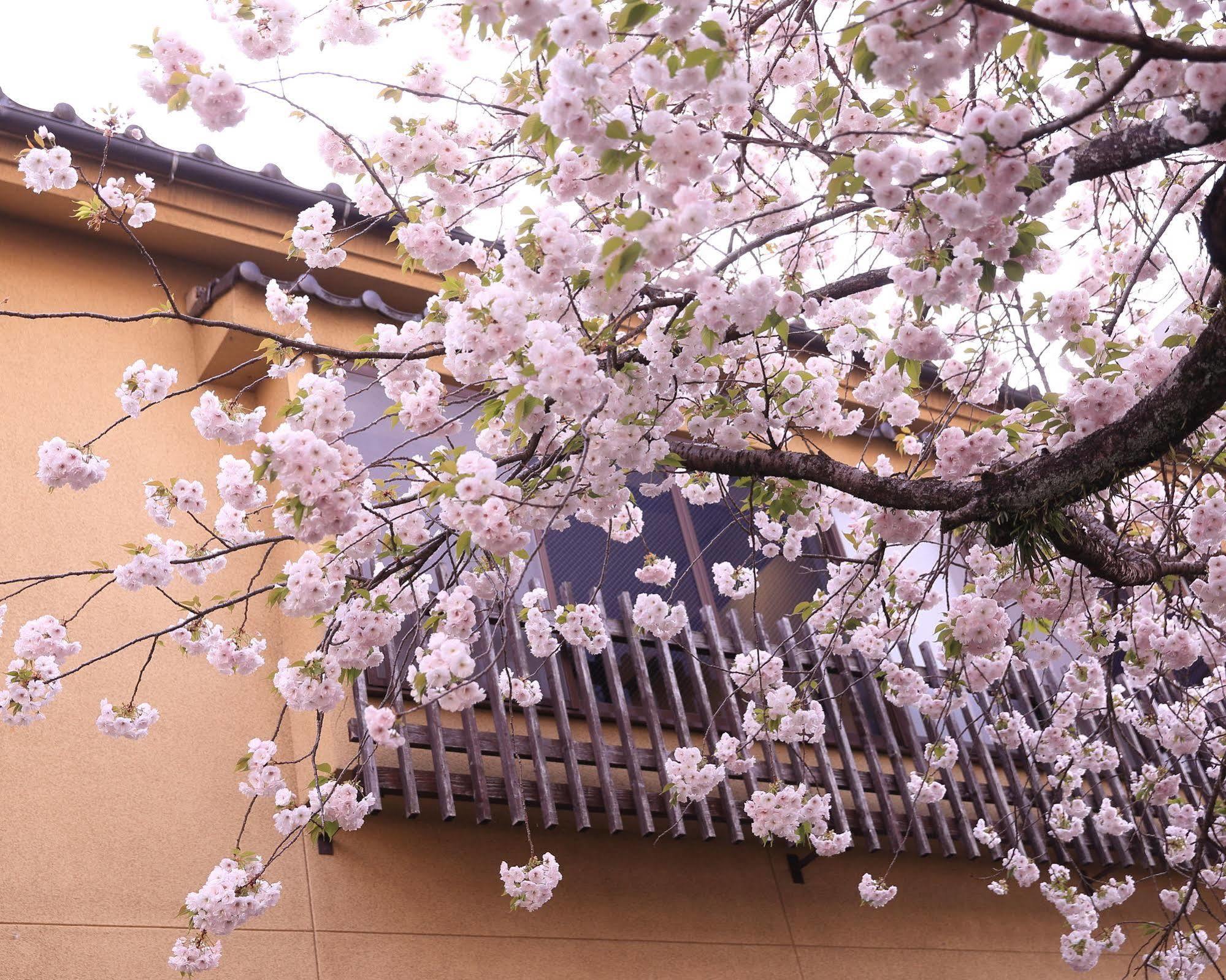 Tabi No Yado Satsuki Hotel Хита Екстериор снимка